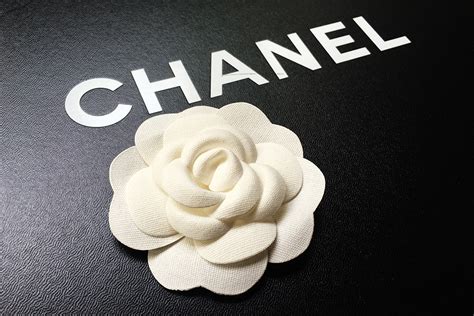 chanel camelia ssu giacchina|camellia Chanel.